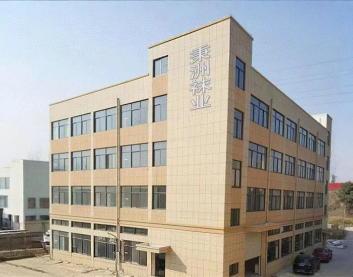 Juji Saisili Têxteis Co., Ltd.